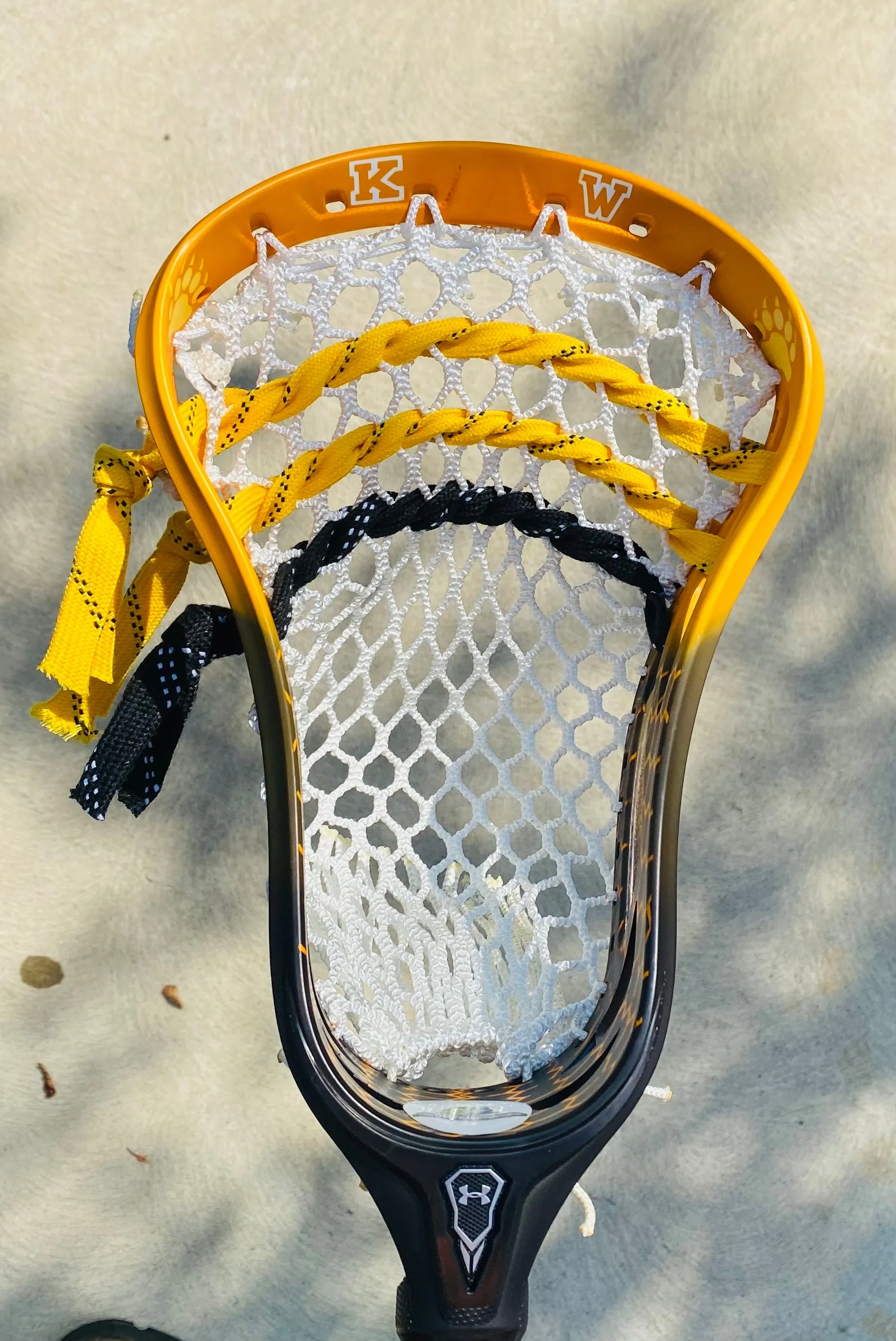 Lacrosse Head Kodiaks Series #3 "Bears Love Honey"